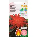 Амарант «Молтен файер» 0.25 г