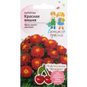 Бархатцы «Красная вишня» 10 шт.