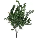 Эсхинантус Раста 15x40 см