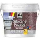 Краска фасадная Dufa Siloxane Facade 0.25 л база 3