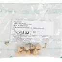Пушкиния ливанская размер луковицы 4/5, 8 шт.