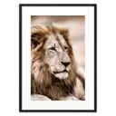 Постер Дом Корлеоне Лев 07-0251-40x60, 40x60 см
