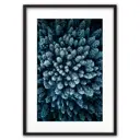 Постер Дом Корлеоне Голубой лес с высоты 07-0367-40x60, 40x60 см