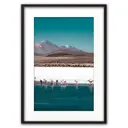 Постер Дом Корлеоне Фламинго на водопое 07-0418-40x60, 40x60 см