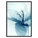 Постер Дом Корлеоне Прозрачный цветок 07-0427-30x40, 30x40 см