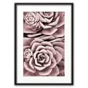 Постер Дом Корлеоне Розовый суккулент 07-0437-21x30, 21x30 см