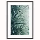Постер Дом Корлеоне Сосна 07-0555-50x70, 50x70 см