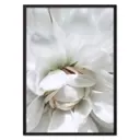 Постер Дом Корлеоне Сердце астры 07-0558-40x60, 40x60 см