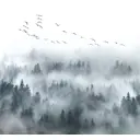 Фотообои «‎В густом тумане»‎ 3D флизелиновые 300x270 см L13-125