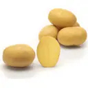Картофель семенной «Лилли», 1 кг