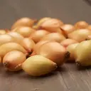 Лук-севок Стурон 10/21 0.9 кг