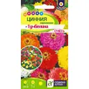 Семена Цинния карликовая Тумбелина микс