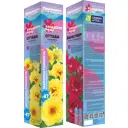 Роза канадская микс h35 см