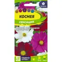 Семена Космея Сенсация