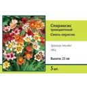 Спараксис трёхцветный Бюджет микс луковица 5