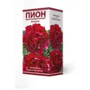 Пион травянистый Фолкон луковица 2-3