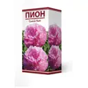 Пион травянистый Сьюзи Кью луковица 2-3