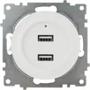 Розетка Onekeyelectro USB двойная встраиваемая с подсветкой цвет белый