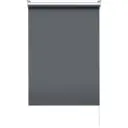 Штора рулонная Blackout 60x175 см серая