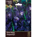 Гладиолус крупноцветковый Блю Берд луковица 10/12