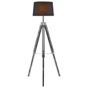 Торшер Lussole Lgo Amistad LSP-0554 E27 60 W цвет черный