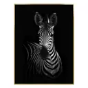Картина ArtWork Animal Planet Zebra, 56x76 см
