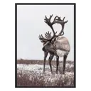 Постер Дом Корлеоне Олень 2 07-0295-30x40, 30x40 см
