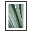Постер Дом Корлеоне Листья алое 07-0428-40x60, 40x60 см