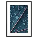 Постер Дом Корлеоне Бирюзовый лист 07-0438-30x40, 30x40 см