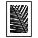 Постер Дом Корлеоне Лист пальмы 07-0441-21x30, 21x30 см