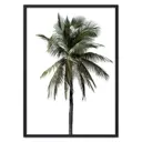 Постер Дом Корлеоне Зеленая пальма 07-0452-30x40, 30x40 см
