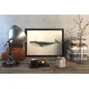 Плакат Просто Постер Синий кит 90x120 в подарочном тубусе 661586714281 без рамы