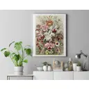 Плакат Просто Постер Орхидеи 90x120 в подарочном тубусе 531842583491 без рамы