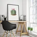 Плакат Просто Постер Кактус Pentacanthus 90x120 в подарочном тубусе 239855177791 без рамы