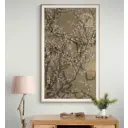 Плакат Просто Постер Цветение белой сакуры 90x120 в подарочном тубусе 691789547561 без рамы