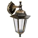 Светильник CAMELION PP4101/02 C64 Садово-парковые 13835 E27x1 60 В IP44