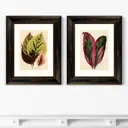 Картина «ArtNoMore» Диптих Botanical Leaf Dracaena, 1870г. (из 2-х картин)