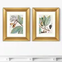 Картина «ArtNoMore» Диптих Exotic plants of the world №5, 1815г. (II), (из 2-х картин)