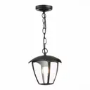 Светильник подвесной уличный ST Luce SL081.403.01 черный