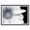 Картина в раме Дом корлеоне 30x21 см 07-0662-21x30