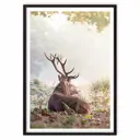 Постер в рамке Дом Корлеоне Олень в лесу 07-0698-40x60