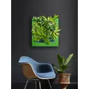 Фитокартина Фитомодуль и рама 59x12.5x57 см пластик зеленый