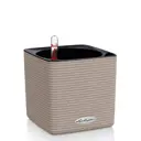Кашпо настольное с автополивом Lechuza Cube Color 14 13478
