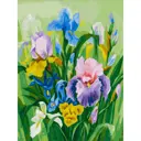 Картина по номерам на картоне "Нежные ирисы", 30x40 см 3152-CS