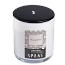 Свеча Spaas 0500218195, 1 шт.