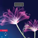 Весы напольные электронные Homestar HS-6001C стеклянная поверхность, 180 кг