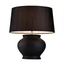 Настольная лампа Lucia Tucci HARRODS T940.1, цвет черный