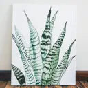 Картина без обрамления Red panda 60x40 см Сансевиерия(40x60)