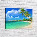 Картина без обрамления Red panda 60x40 см Тропический Пляж - p53539