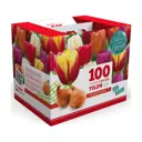 Луковицы цветов тюльпан Дарвина микс 100 шт.